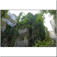 2021-07-14 Grundsteingasse 42 Innenhofbegruenung 07.jpg
